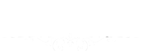 HORSE AS A LEADER