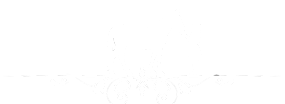 EQUINE ASSISTED THERAPY