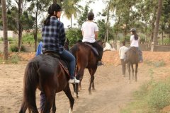 horsebackriding